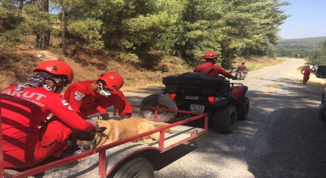 AKUT, Muğla’dan sonra Aydın Çine’de orman yangınlarına müdahale için operasyonda