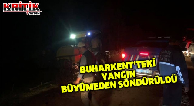 Buharkent’teki yangın büyümeden söndürüldü