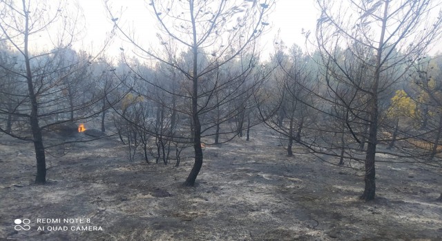 Karpuzlu’daki yangın kontrol altına alındı