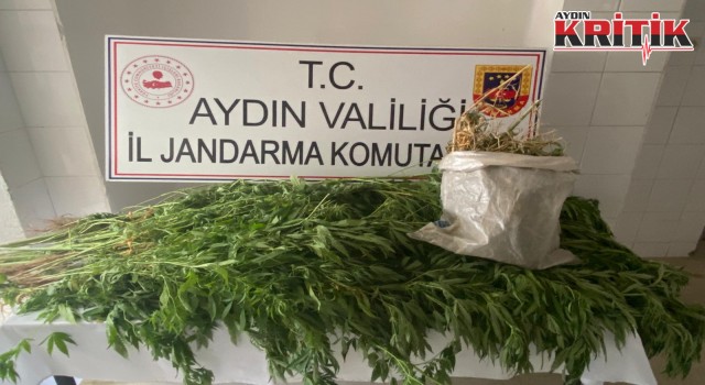 1 haftada 639 gram uyuşturucu ele geçirildi