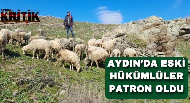 Aydın’da eski hükümlüler patron oldu