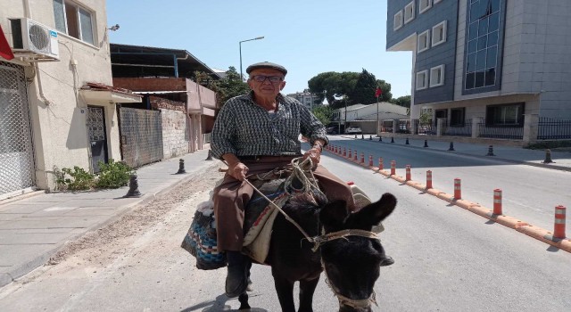 Aydınlı yaşlı amca eşeğine geri döndü