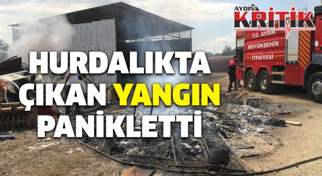 Hurdalıkta çıkan yangın panikletti