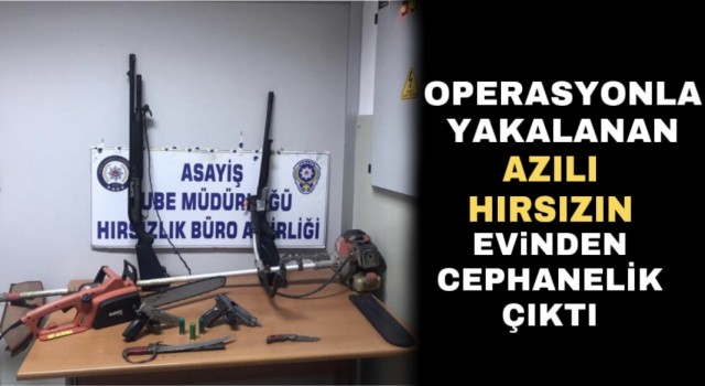 Operasyonla yakalanan azılı hırsızın evinden cephanelik çıktı