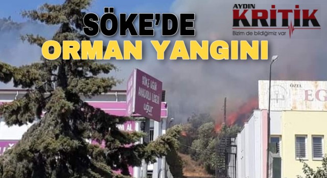 Söke’de orman yangını