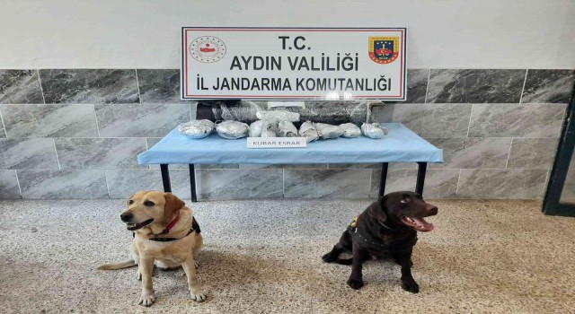 Aydın’da 3 buçuk kilogram uyuşturucu ele geçirildi