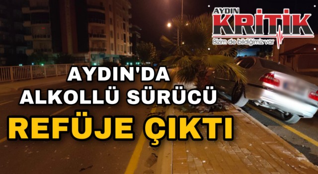 Aydın’da alkollü sürücü refüje çıktı