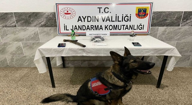 Aydın’da uyuşturucu operasyonu