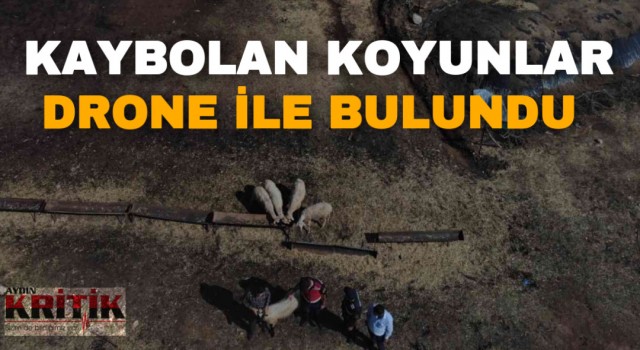 Kaybolan koyunlar drone ile bulundu