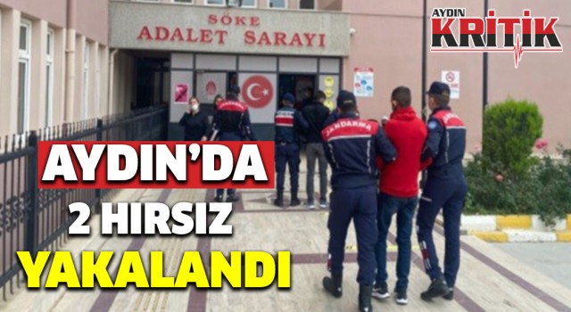 Aydın'da 2 hırsız yakalandı