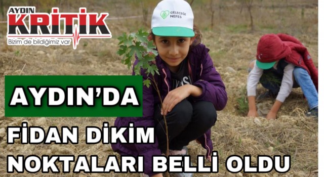 Aydın’da fidan dikim noktaları belli oldu