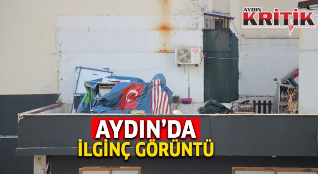 Aydın'da ilginç görüntü