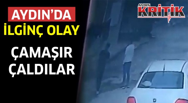 Aydın'da ilginç olay, Çamaşır çaldılar!