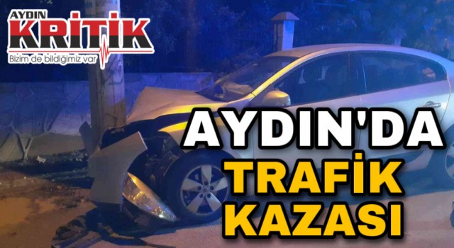 Aydın'da trafik kazası