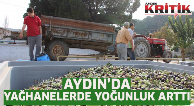 Aydın'da yağhanelerde yoğunluk arttı