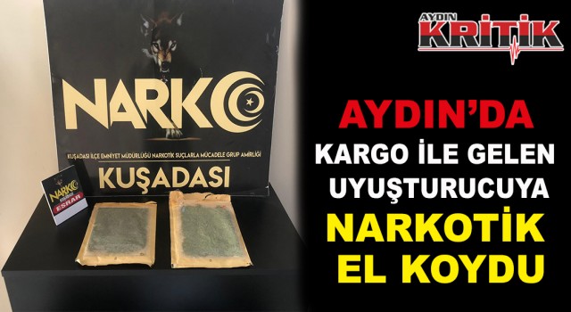 Aydın'da kargo ile gelen uyuşturucuya narkotik el koydu