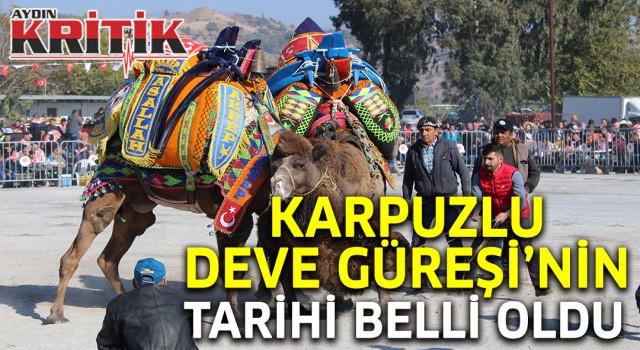 Karpuzlu Deve Güreşi’nin tarihi belli oldu