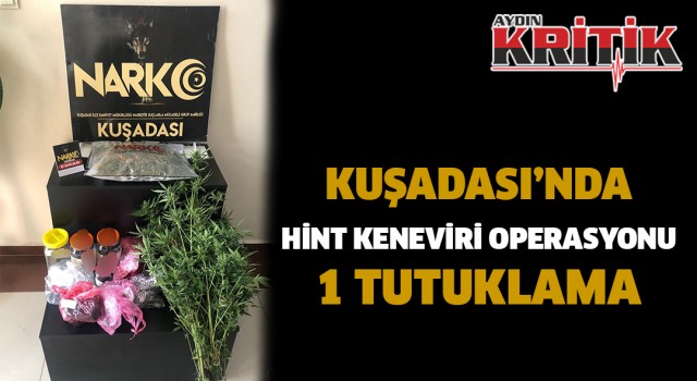 Kuşadası’nda hint keneviri operasyonu: 1 tutuklama