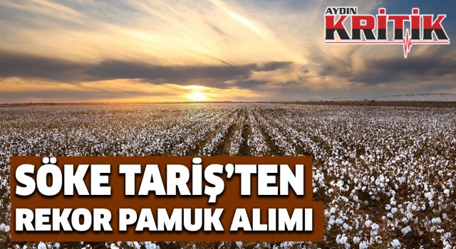 Söke TARİŞ’ten rekor pamuk alımı