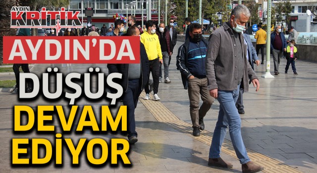 Aydın'da düşüş devam ediyor