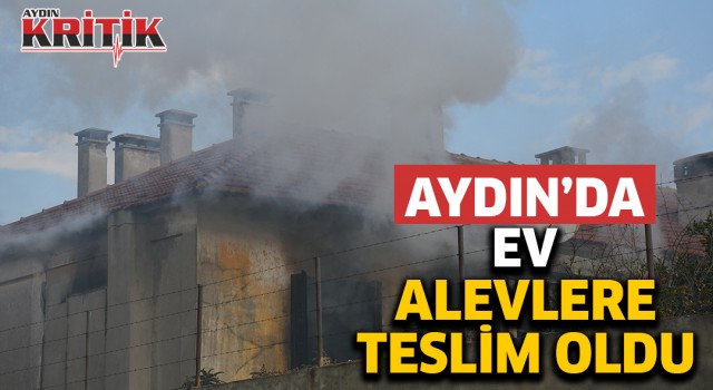 Aydın'da ev alevlere teslim oldu