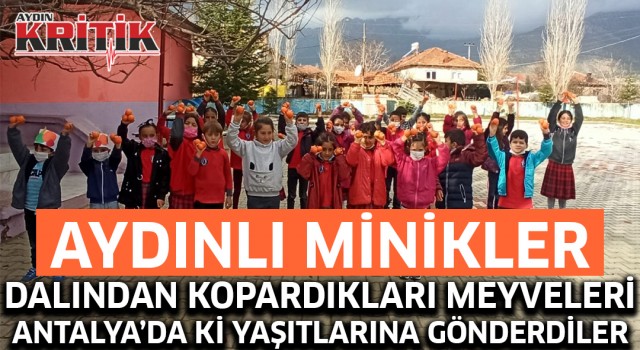 Aydınlı minikler dalından kopardıkları meyveleri Antalya'da ki yaşıtlarına gönderdiler