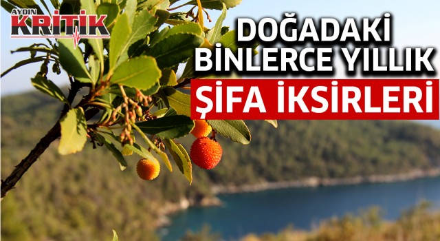 Doğadaki binlerce yıllık şifa iksirleri