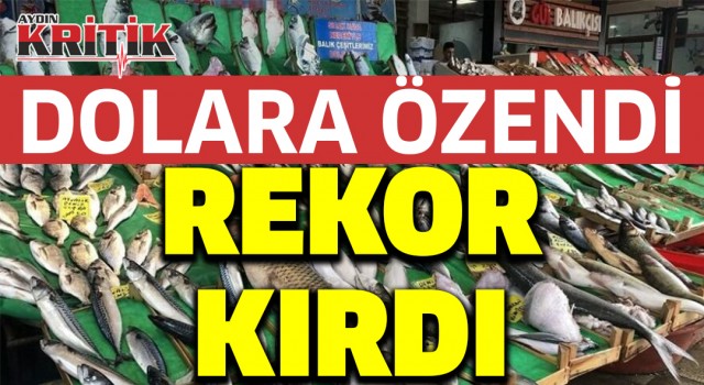 Dolara özendi rekor kırdı