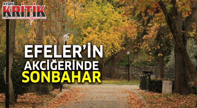 Efeler'in akciğerinde sonbahar