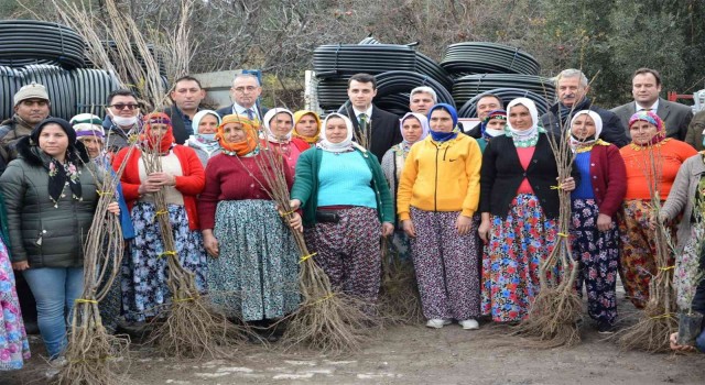 Karacasu ve Çine’deki orman yangınlarının yaraları sarılıyor