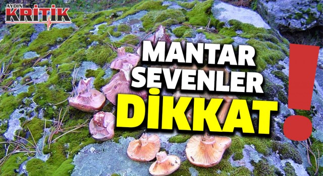 Mantar sevenler dikkat!