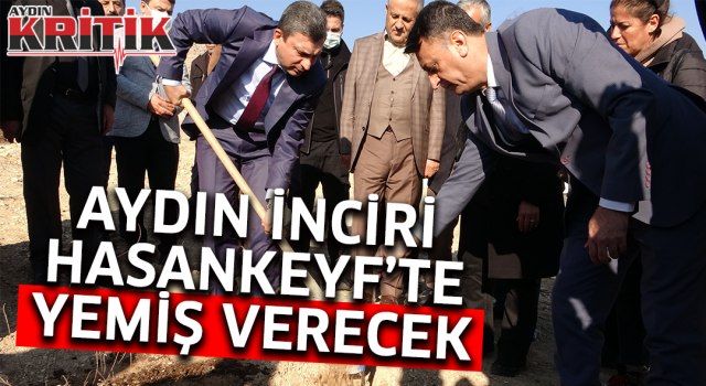 Aydın inciri Hasankeyf’te yemiş verecek