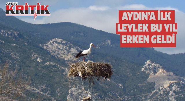 Aydın'a ilk leylek bu yıl erken geldi