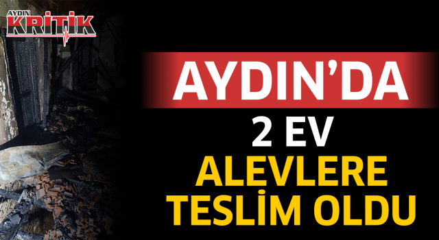 Aydın’da 2 ev alevlere teslim oldu