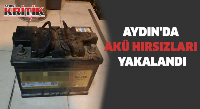 Aydın'da akü hırsızları yakalandı