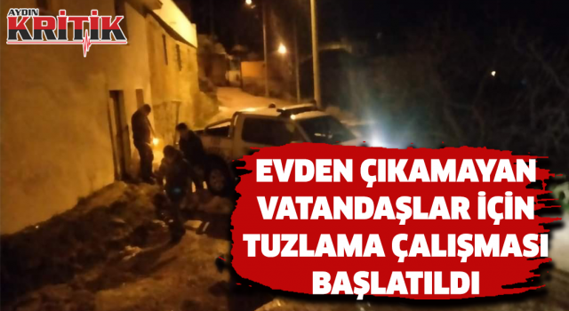 Evden çıkamayan vatandaşlar için tuzlama çalışması başlatıldı