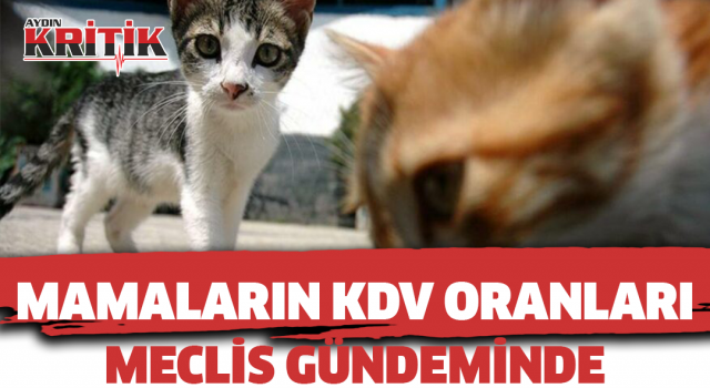 Mamaların KDV oranları meclis gündeminde