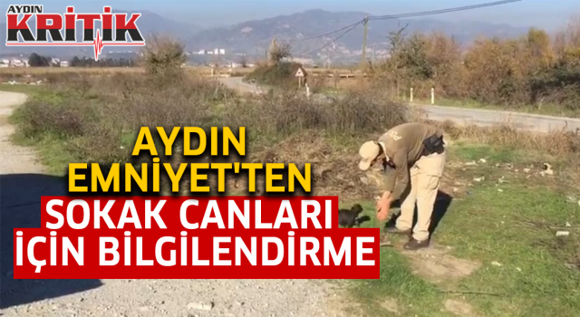 Sokak canları için restoran ve iş yerleri bilgilendirildi