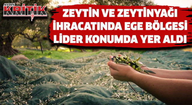 Zeytin ve zeytinyağı ihracatında Ege Bölgesi lider konumda yer aldı