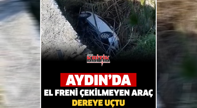 Aydın'da el freni çekilmeyen araç, dereye uçtu