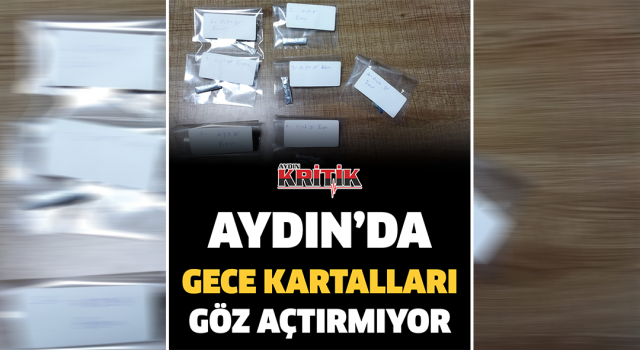 Aydın'da gece kartalları göz açtırmıyor