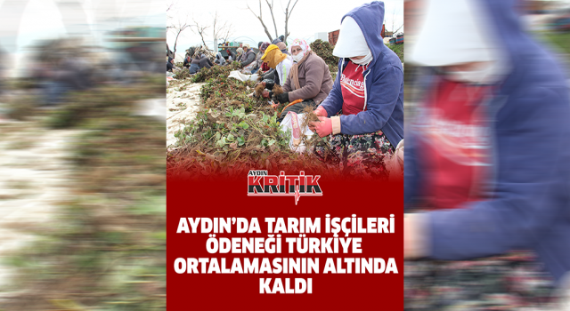 Aydın’da tarım işçileri ödeneği Türkiye ortalamasının altında kaldı