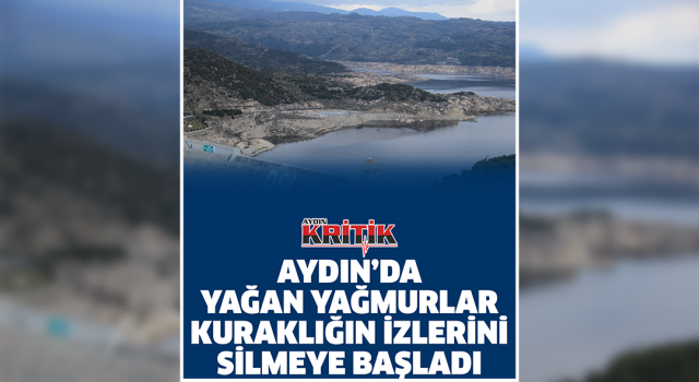 Aydın'da yağan yağmurlar kuraklığın izlerini silmeye başladı