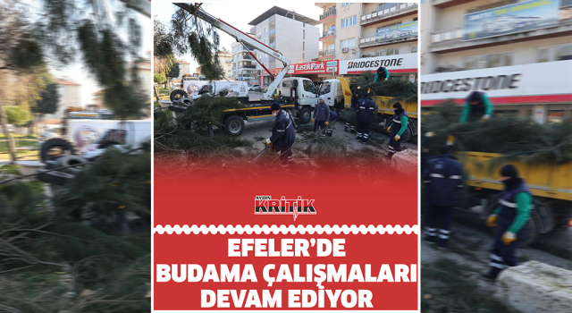 Efeler’de budama çalışmaları devam ediyor