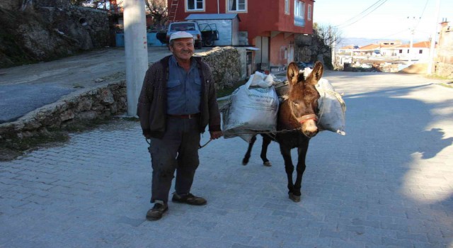 Kırsaldaki yük hayvanları kıymete bindi