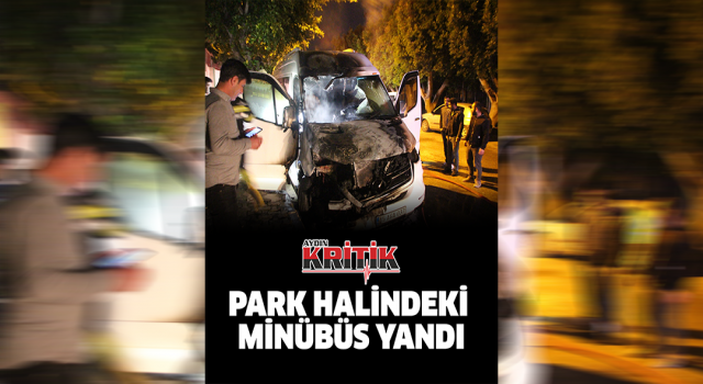 Park halindeki minibüs yandı