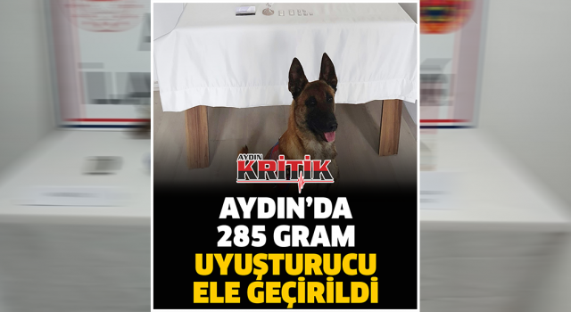 Aydın'da 285 Gram Uyuşturucu Ele Geçirildi