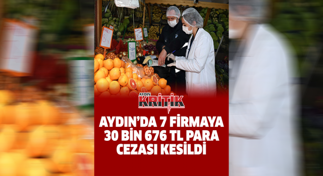 Aydın'da 7 firmaya 30 bin 676 TL para cezası kesildi