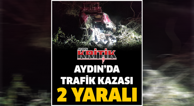 Aydın'da trafik kazası: 2 yaralı