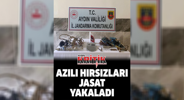 Azılı hırsızları JASAT yakaladı